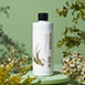 Lemongrass Refreshing Shampoo